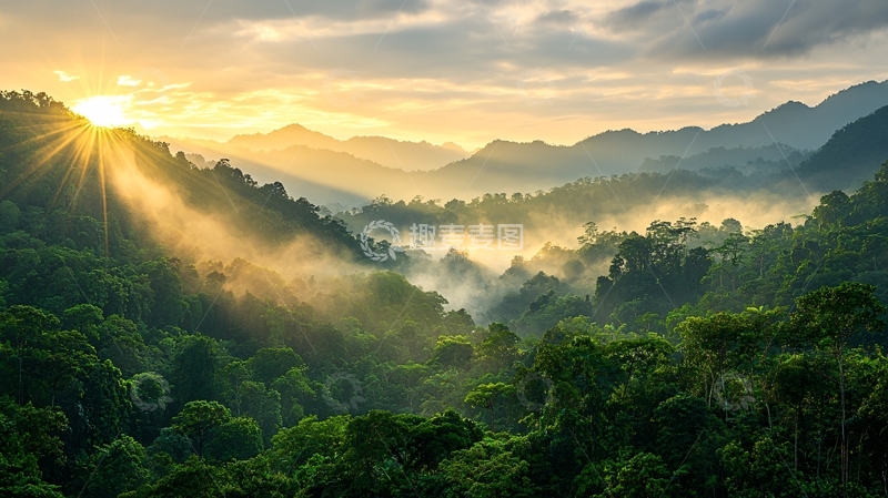 高清大图下载【趣麦麦图】晨雾中的热带雨林