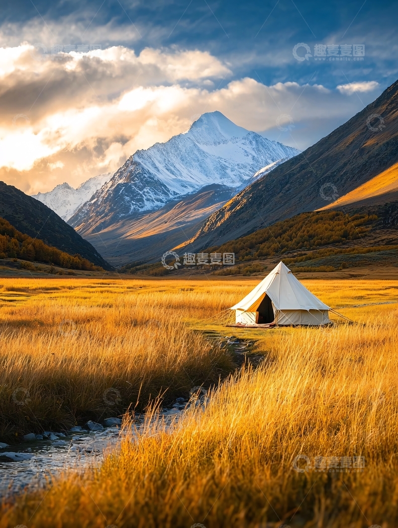 高清大图下载【趣麦麦图】秋日金色草甸上的帐篷