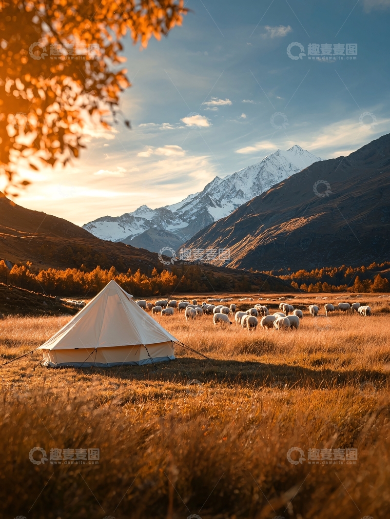 高清大图下载【趣麦麦图】风景如画的营地