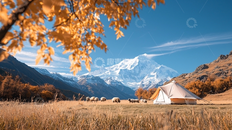 高清大图下载【趣麦麦图】秋日雪山下的露营地
