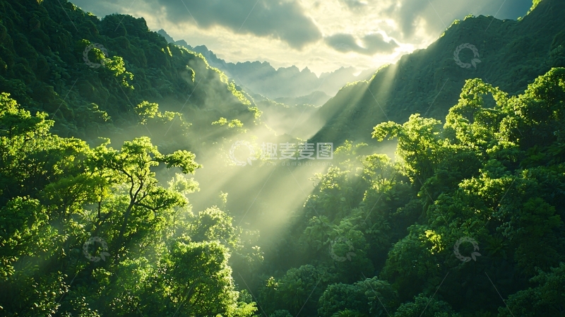 高清大图下载【趣麦麦图】阳光穿透森林的山谷