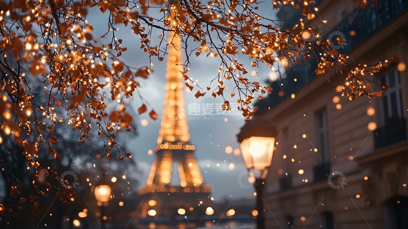 高清大图下载【趣麦麦图】巴黎埃菲尔铁塔秋夜灯火