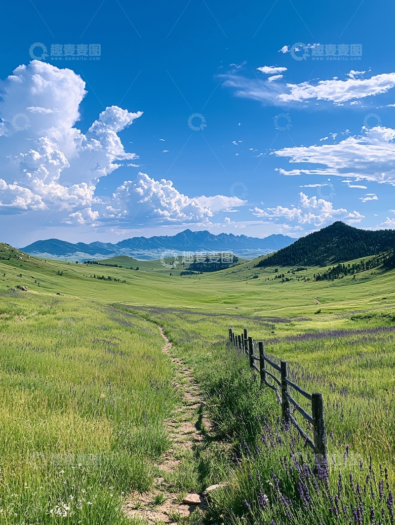 高清大图下载【趣麦麦图】翠绿草原上的小路