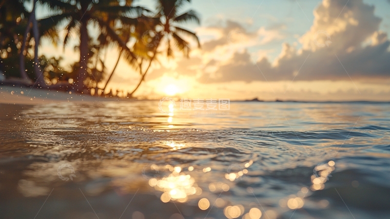 高清大图下载【趣麦麦图】日落海滩椰树光影
