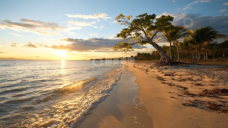 高清大图下载【趣麦麦图】金色海滩日落树木剪影