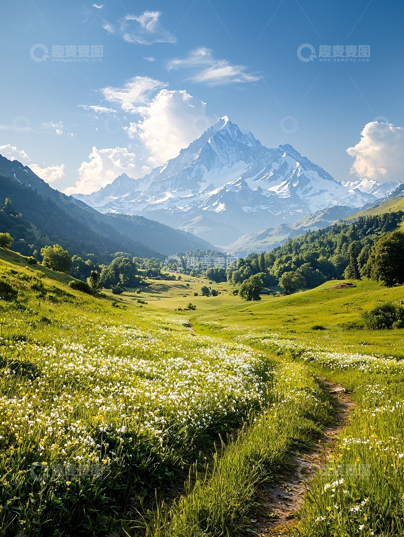 高清大图下载【趣麦麦图】壮丽雪山下的绿色田野
