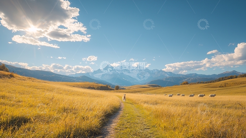 高清大图下载【趣麦麦图】金色麦田远山蓝天白云