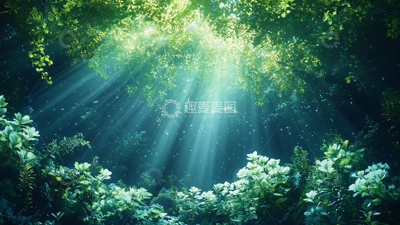 高清大图下载【趣麦麦图】森林光线穿透绿叶