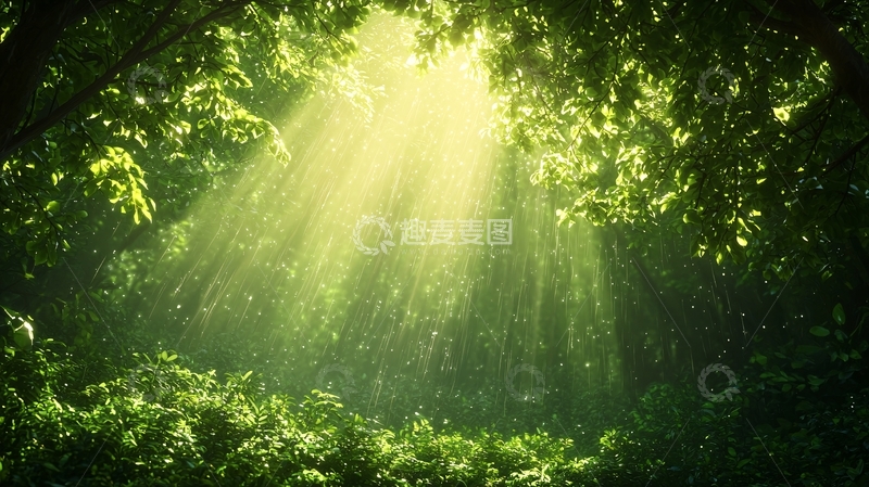 高清大图下载【趣麦麦图】阳光穿透树林的景象