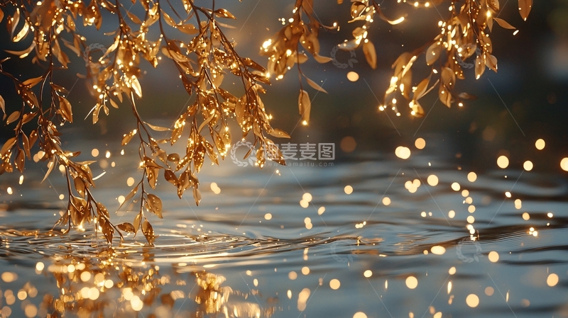 高清大图下载【趣麦麦图】金色树叶与水面的光影之美