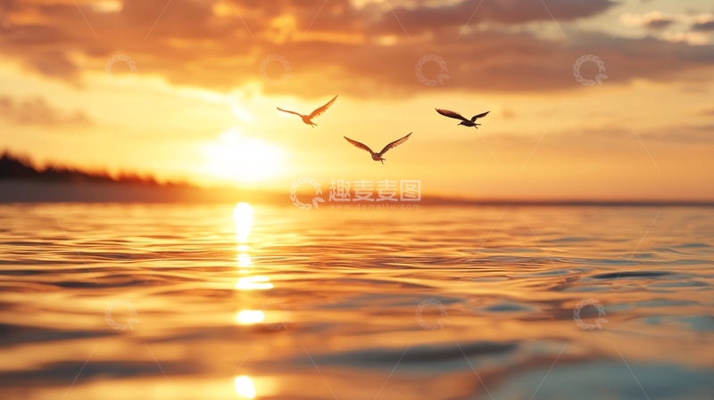 高清大图下载【趣麦麦图】日落海面飞翔的鸟