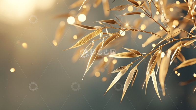 高清大图下载【趣麦麦图】金色竹叶光影自然素材