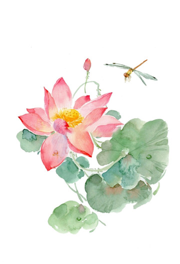  夏天淡雅荷花蜻蜓花卉元素