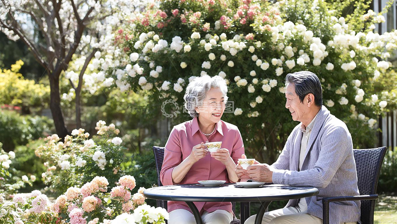 高清大图下载【趣麦麦图】老人花园喝茶