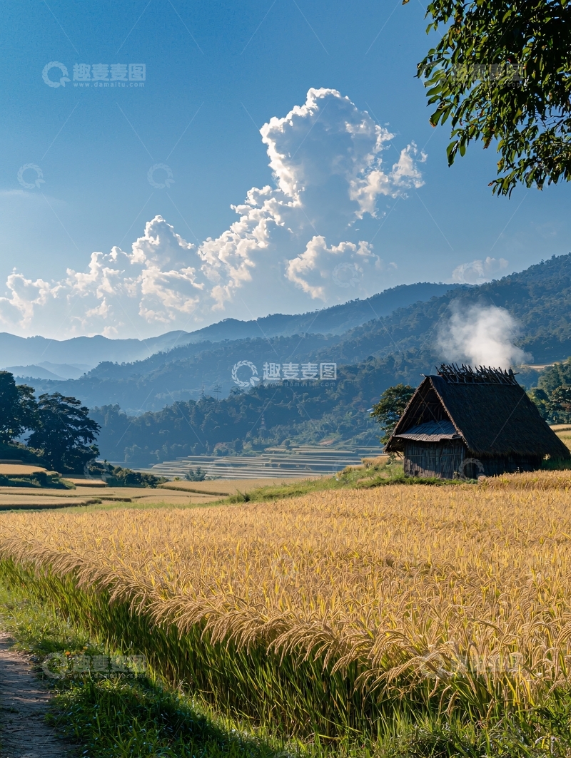 高清大图下载【趣麦麦图】金色的麦田和远山