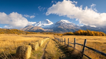 金色的田野与雪山