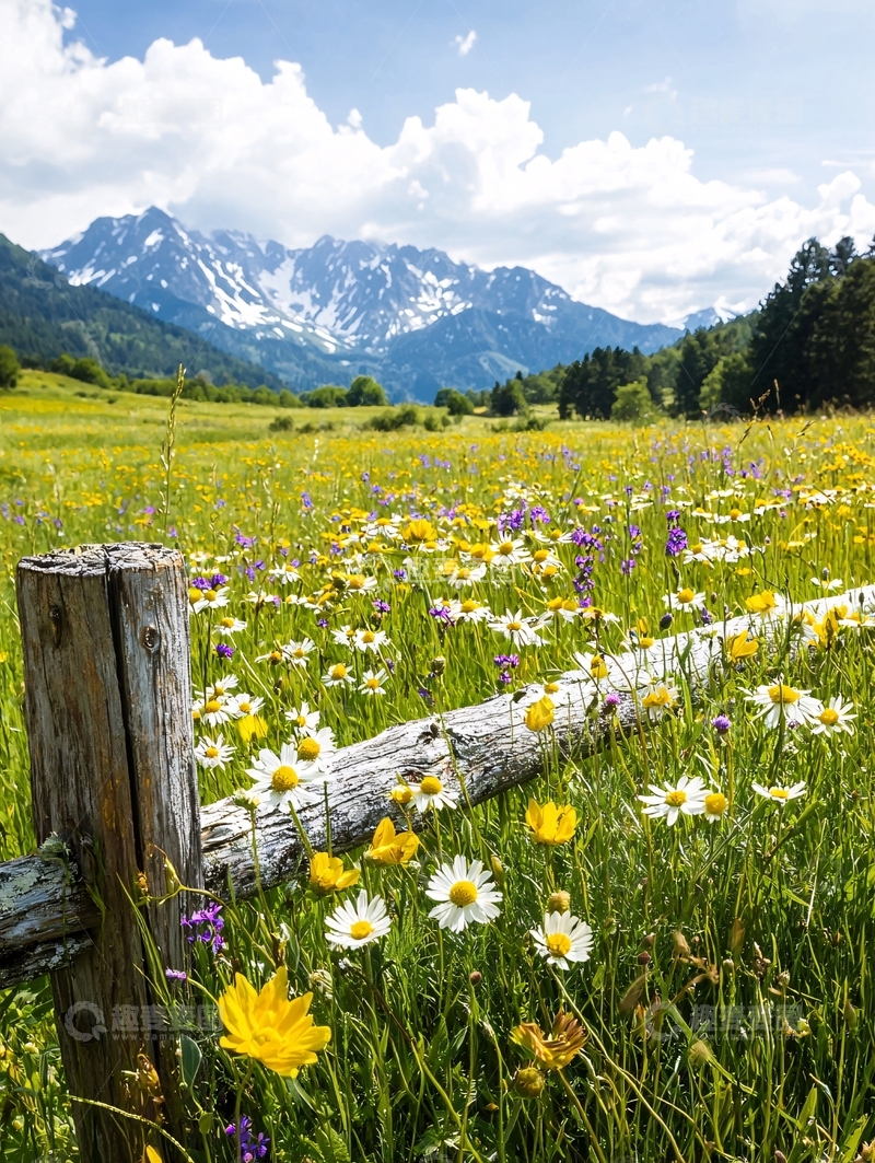 高清大图下载【趣麦麦图】绿地鲜花远山构成美景