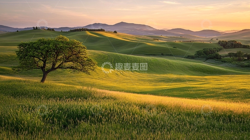 高清大图下载【趣麦麦图】夕阳下的田园风光