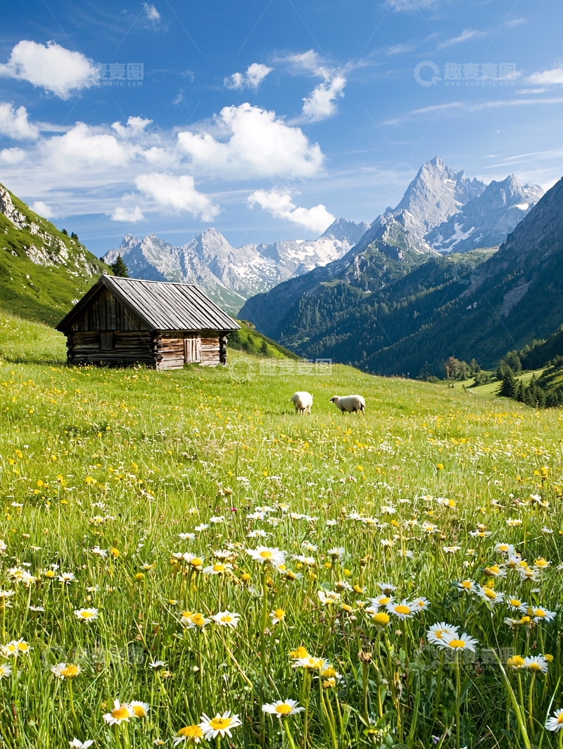 高清大图下载【趣麦麦图】阿尔卑斯山谷中的小屋