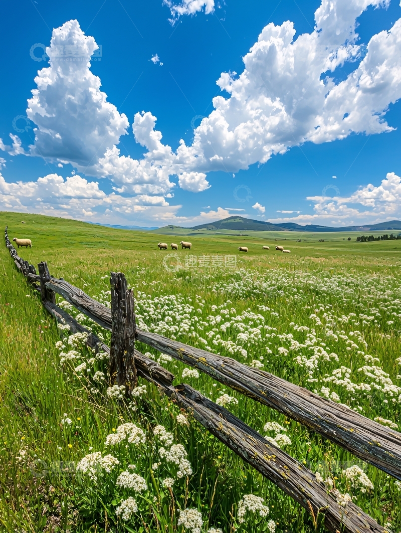 高清大图下载【趣麦麦图】绿草地上的木栅栏