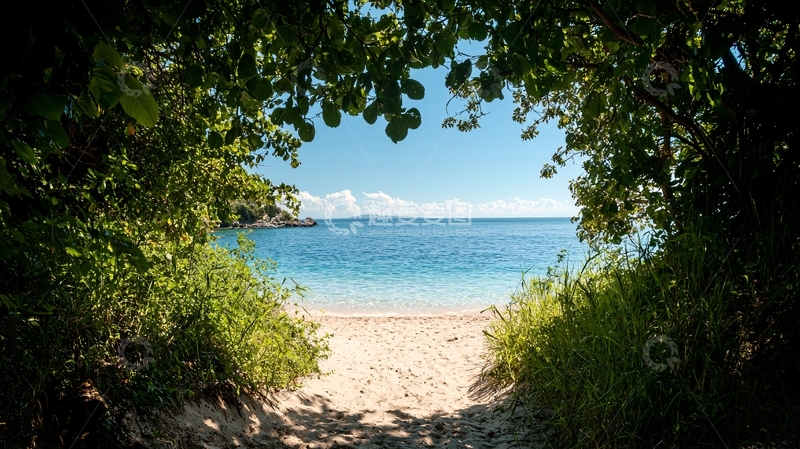 高清大图下载【趣麦麦图】海边绿植环绕的景象