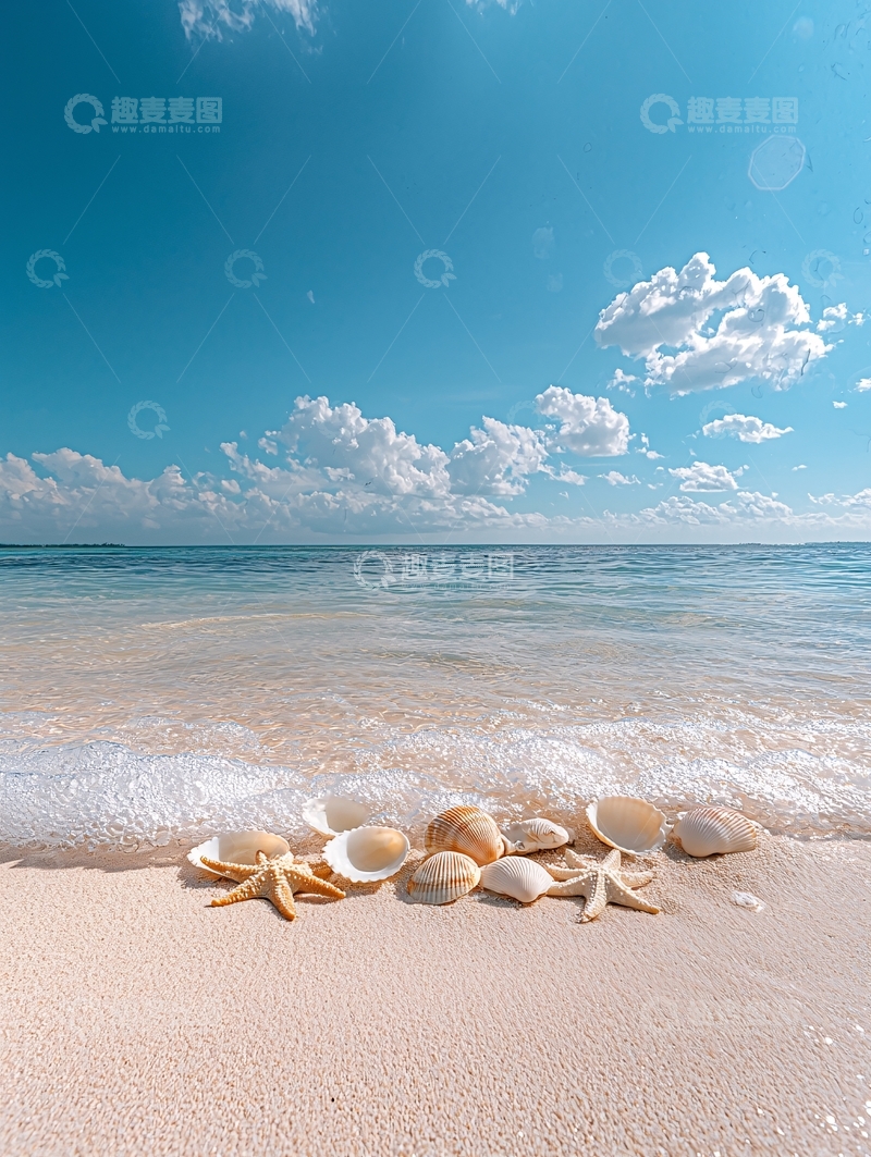 高清大图下载【趣麦麦图】海滩上的贝壳和海星