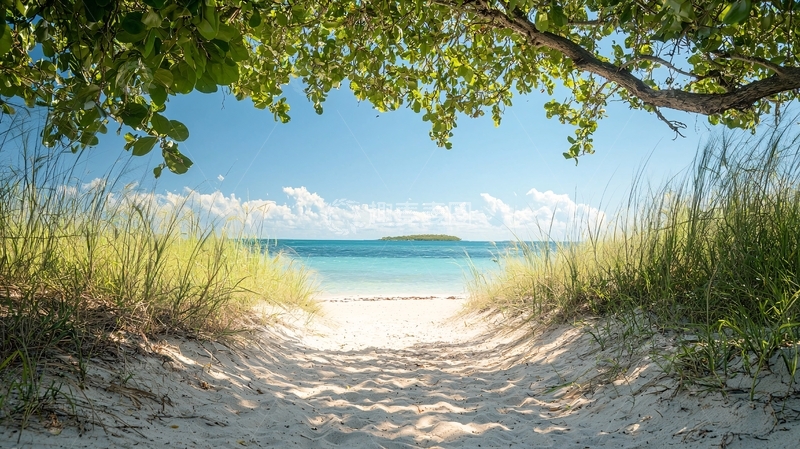 高清大图下载【趣麦麦图】海滩小路绿植遮蔽天空