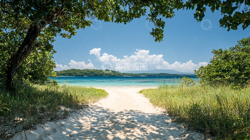 高清大图下载【趣麦麦图】海滩绿树白沙碧海蓝天