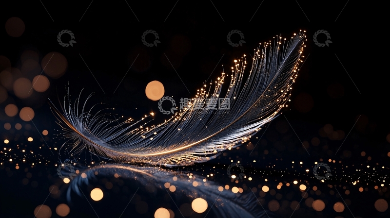 高清大图下载【趣麦麦图】夜空中闪耀的羽毛