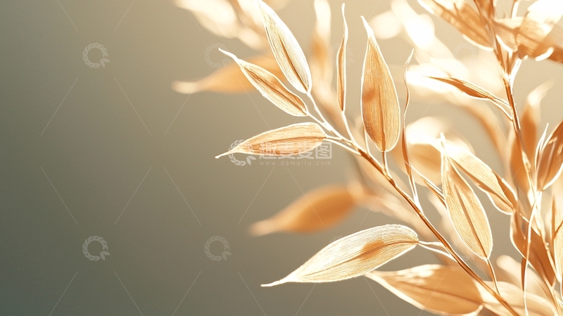 高清大图下载【趣麦麦图】秋日阳光下的麦穗