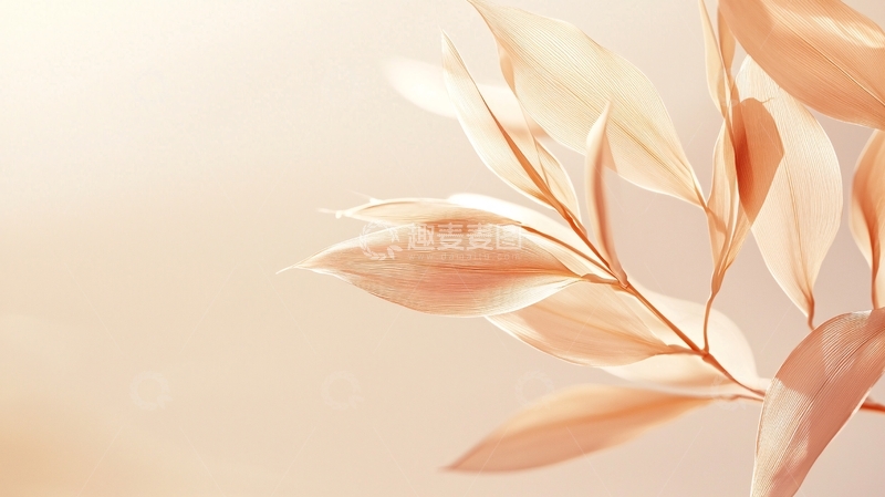 秋日温暖阳光下的叶子