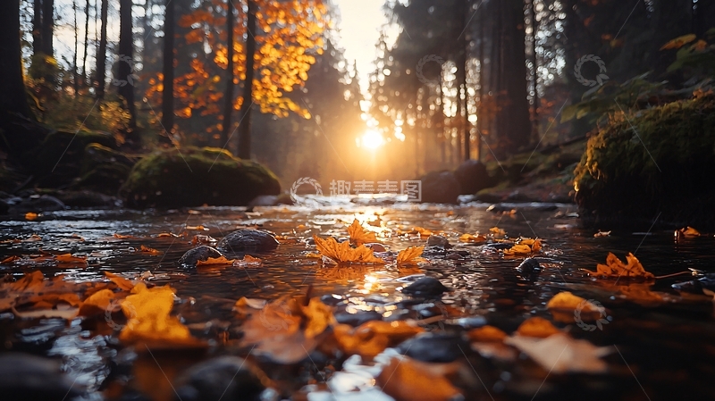 高清大图下载【趣麦麦图】秋日森林溪流落叶风景