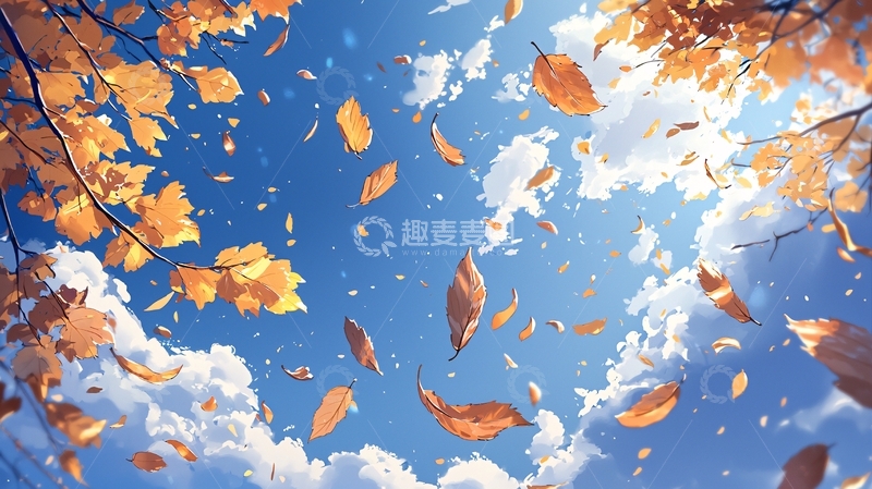 高清大图下载【趣麦麦图】秋日落叶天空背景
