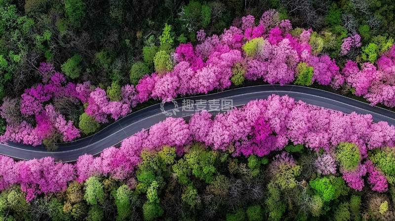 高清大图下载【趣麦麦图】蜿蜒道路高清图片