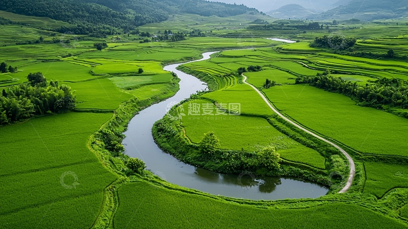 高清大图下载【趣麦麦图】绿色稻田间的蜿蜒河流