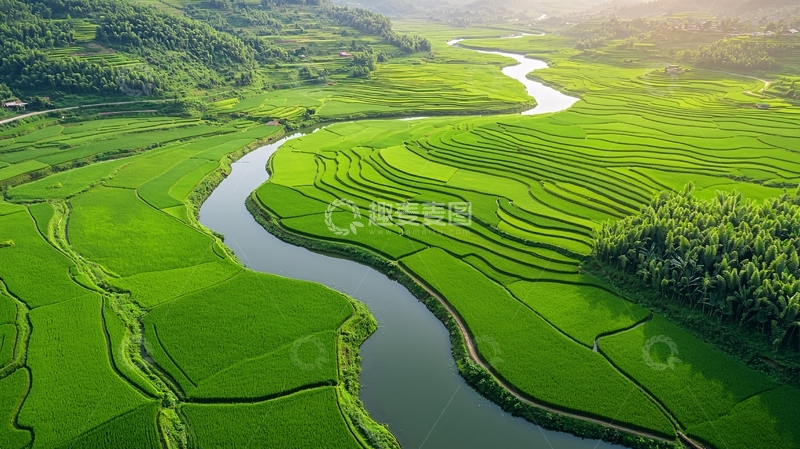 高清大图下载【趣麦麦图】绿色稻田河流蜿蜒