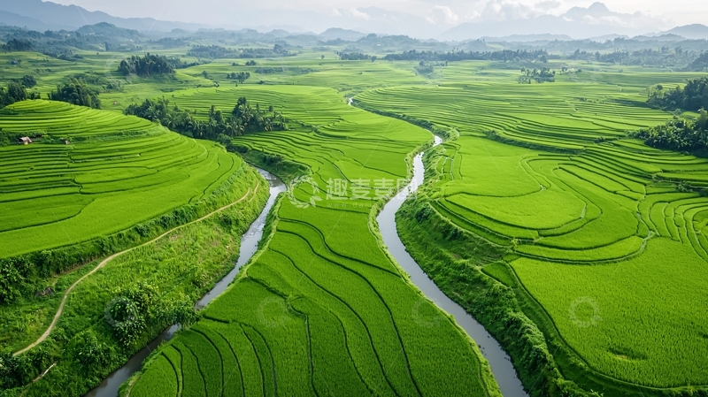 高清大图下载【趣麦麦图】翠绿稻田小河蜿蜒