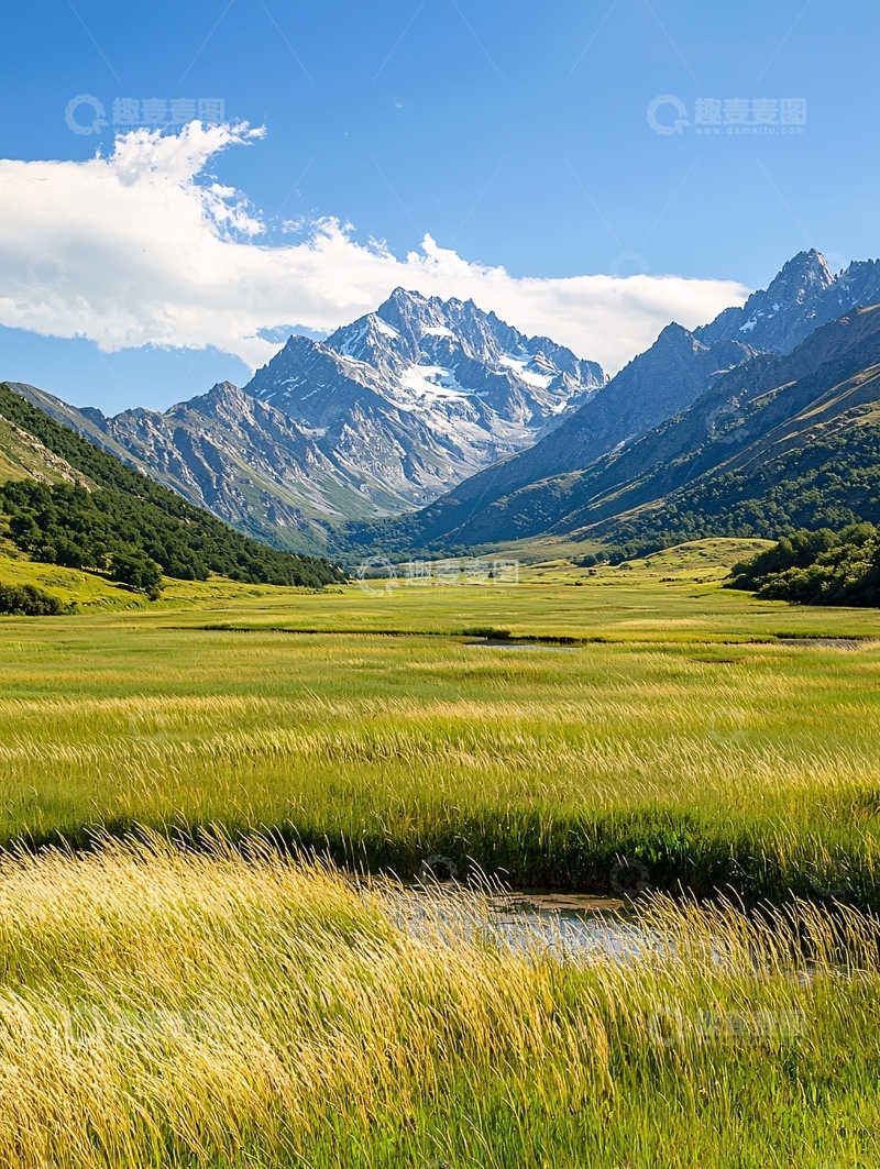 高清大图下载【趣麦麦图】雪山下的草原美景