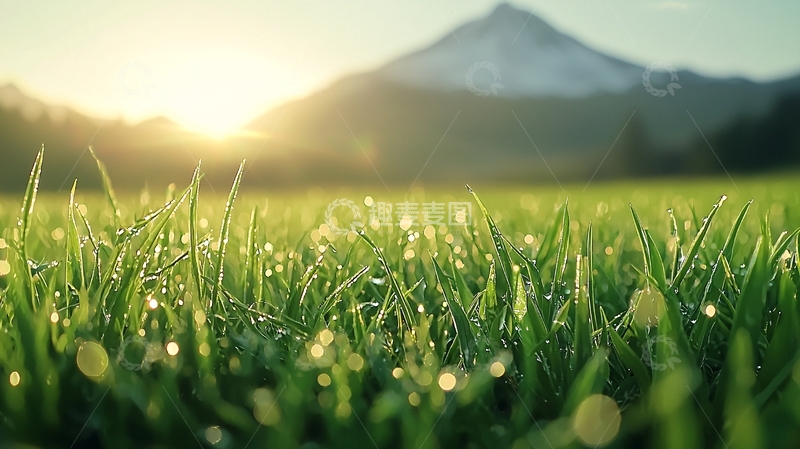 高清大图下载【趣麦麦图】晨露下的草地与远山