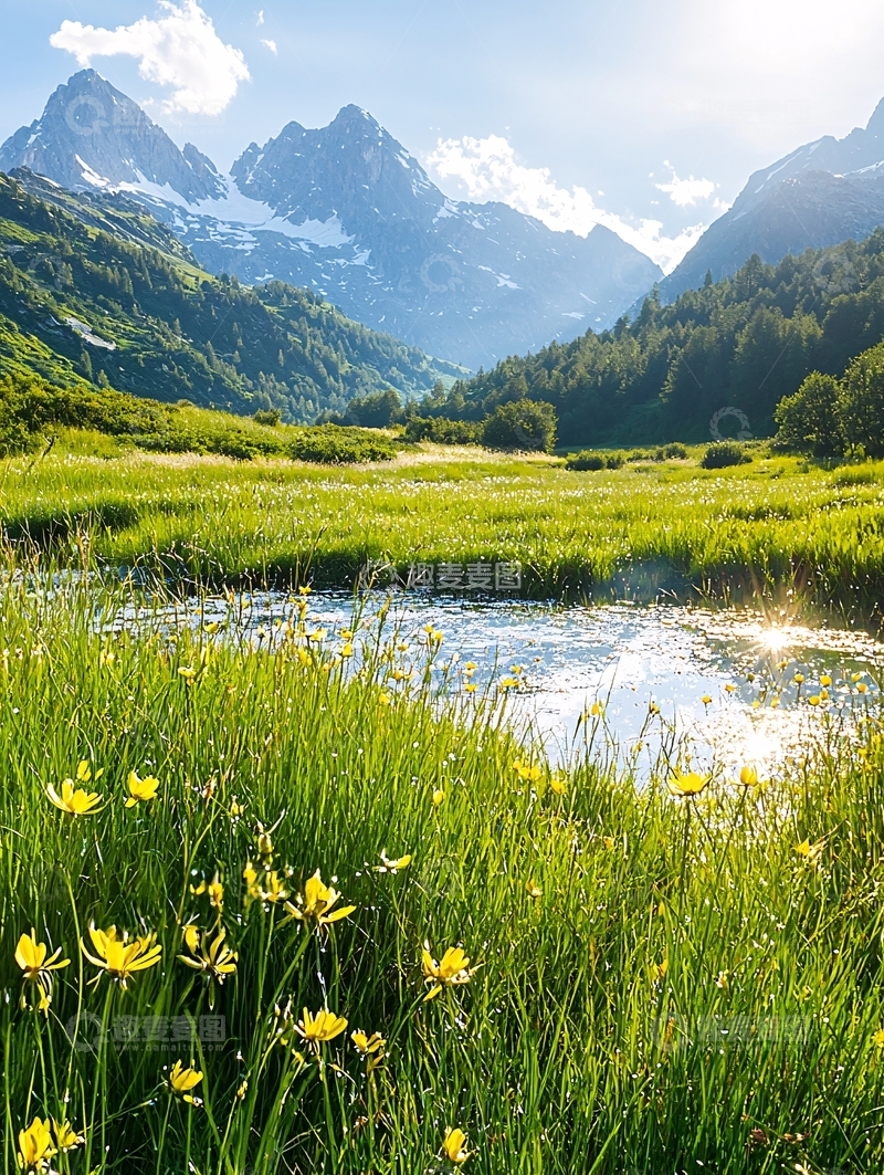高清大图下载【趣麦麦图】山间草地与溪流自然风光