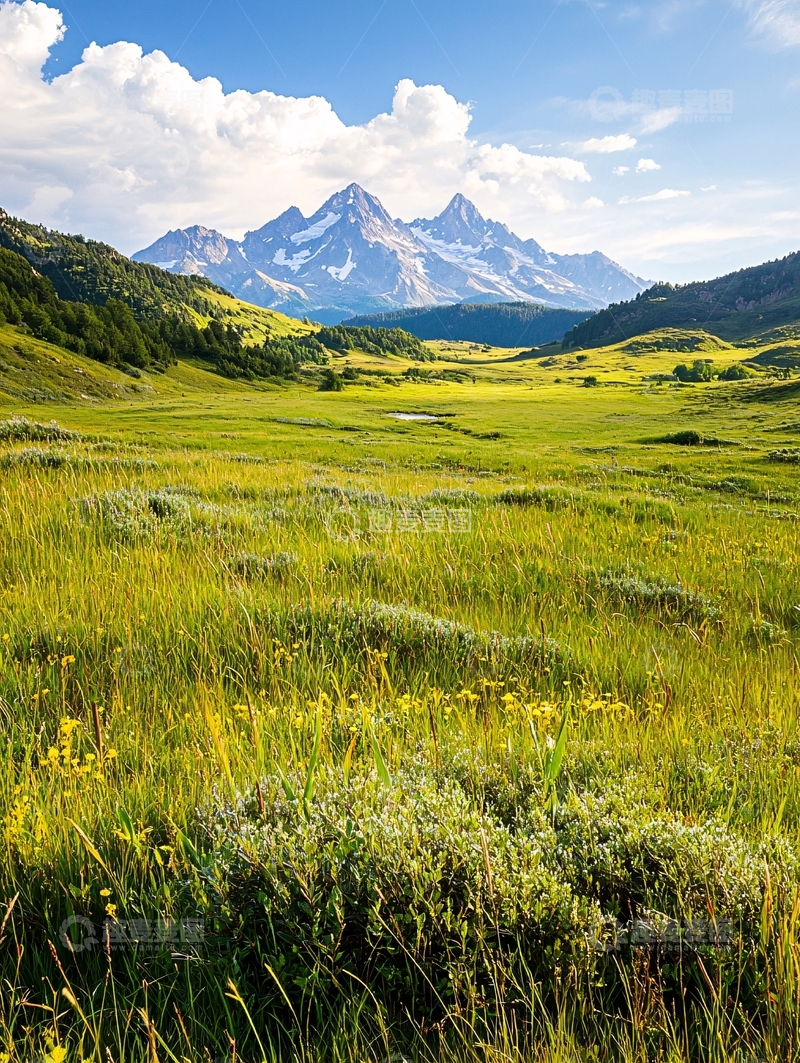 高清大图下载【趣麦麦图】阿尔卑斯山下的绿色草原
