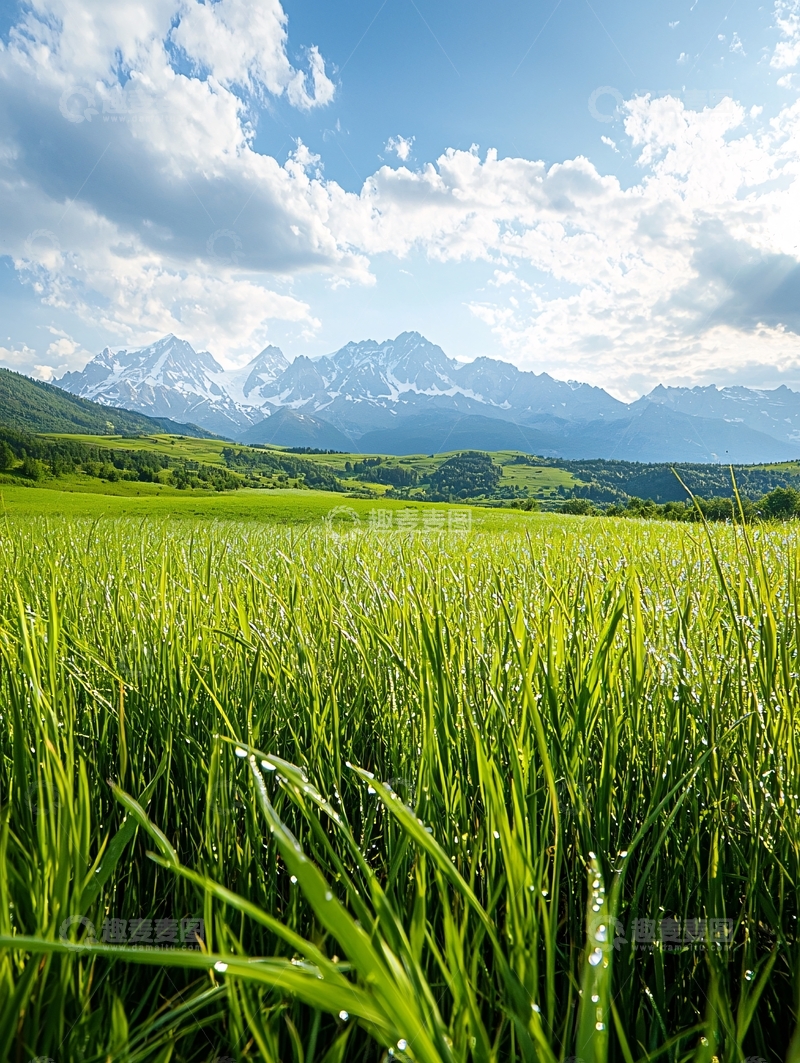 高清大图下载【趣麦麦图】青翠田野与雪山美景
