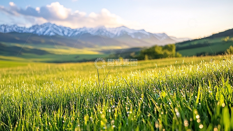 高清大图下载【趣麦麦图】晨露下的绿色草地与雪山