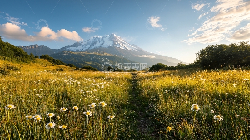 高清大图下载【趣麦麦图】雪山下的花海风景