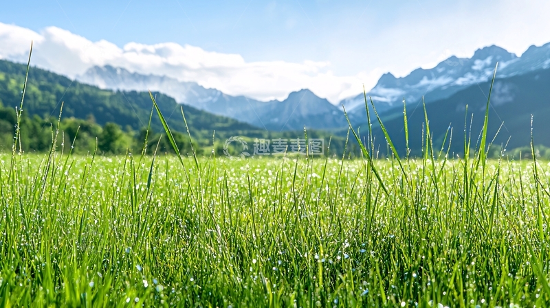 高清大图下载【趣麦麦图】清新草地与雪山自然风光