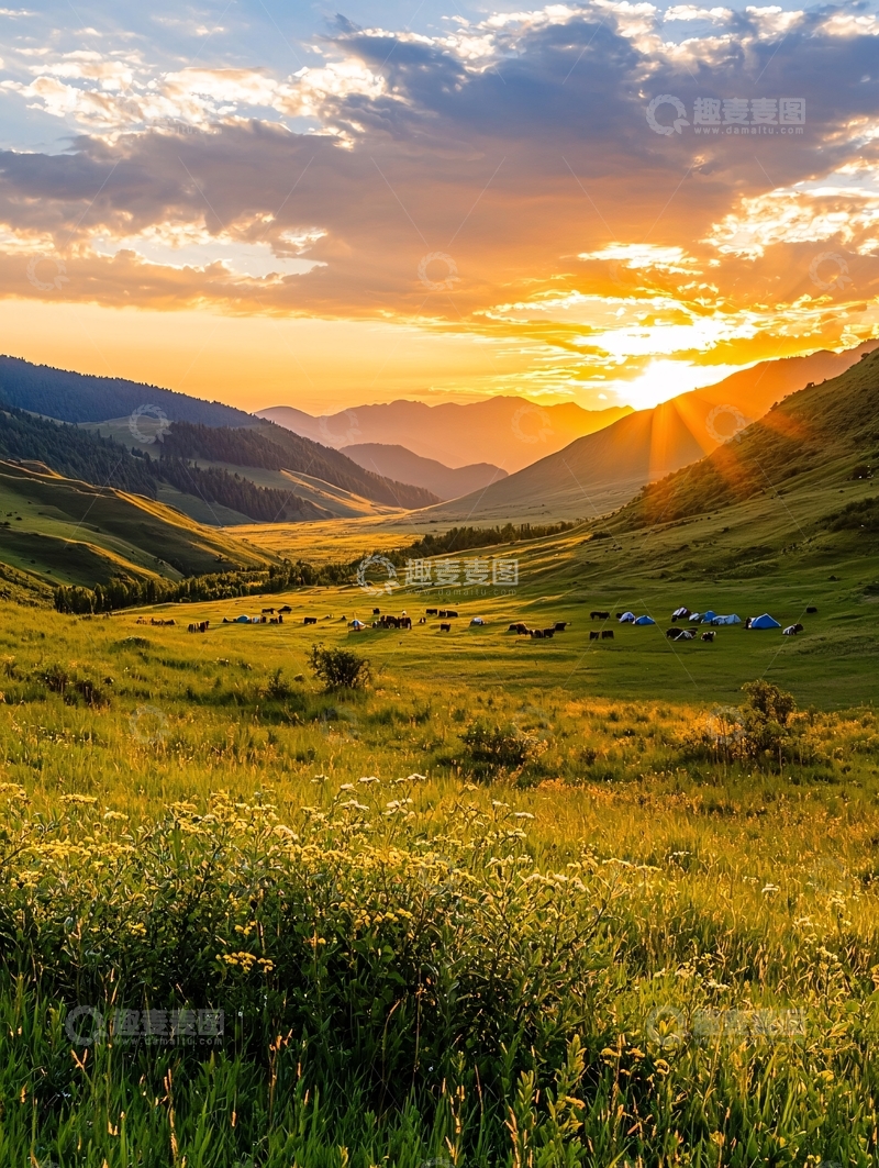 高清大图下载【趣麦麦图】夕阳下的山谷草地