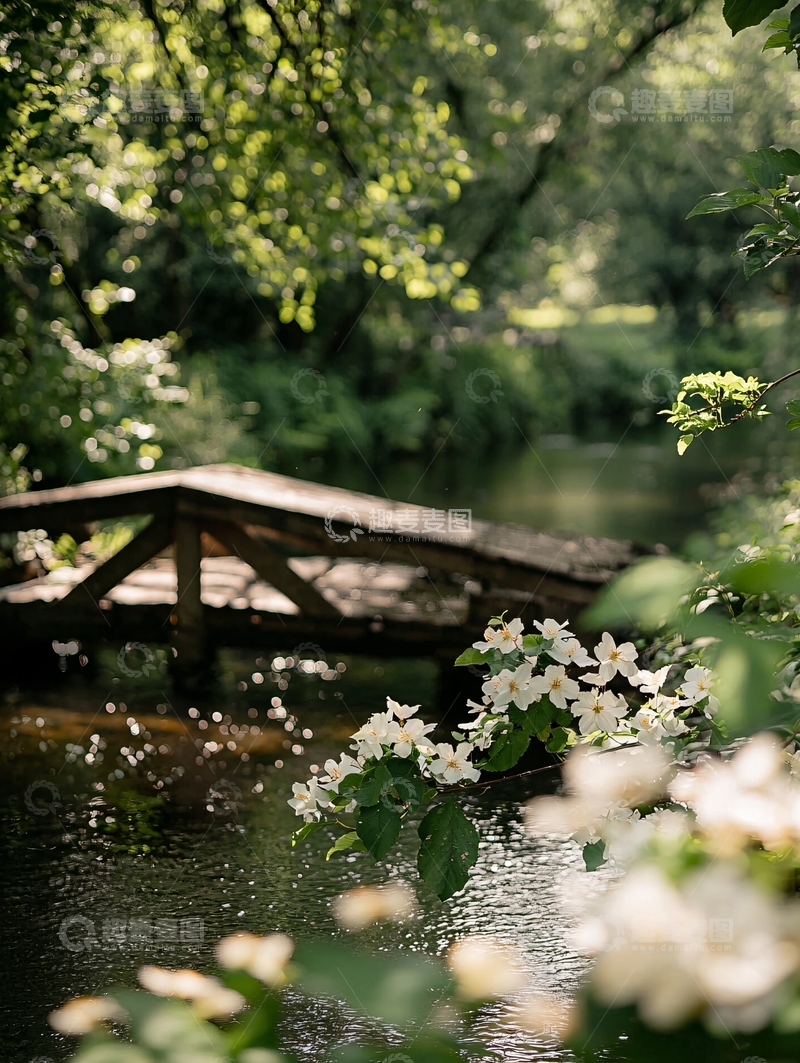高清大图下载【趣麦麦图】静谧森林中的木桥