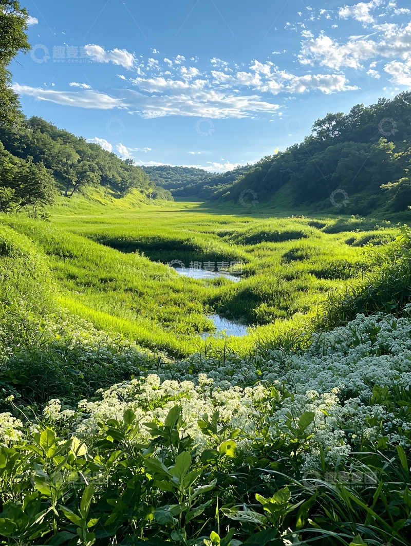高清大图下载【趣麦麦图】绿意盎然的山谷风光