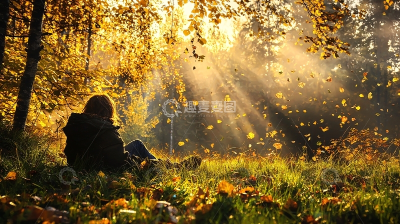 高清大图下载【趣麦麦图】秋日阳光下高清图片