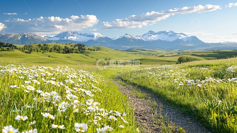 高清大图下载【趣麦麦图】山间小路与野花盛开